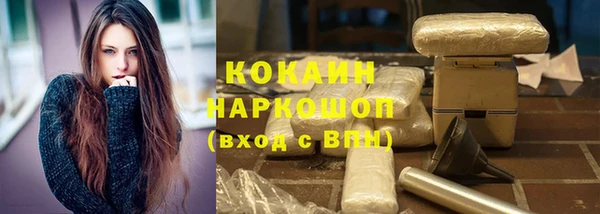 соль ск Алексин