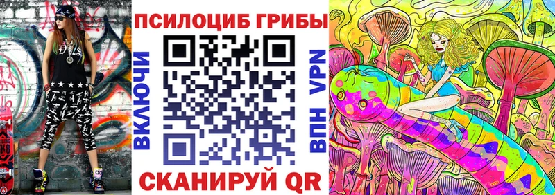 где купить Нытва Галлюциногенные грибы мицелий